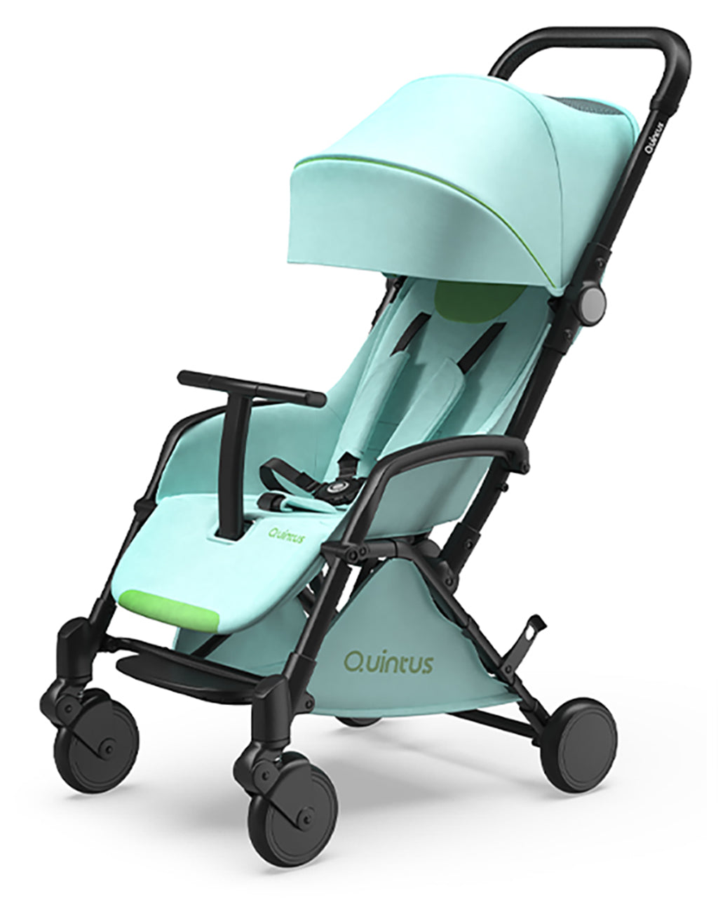 Tody Mint